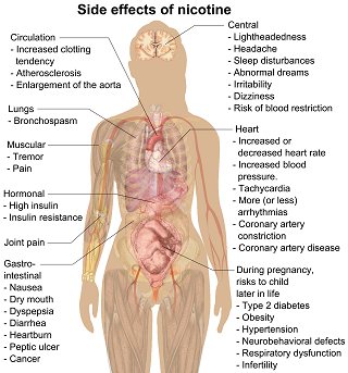Nicotine side effects on human body